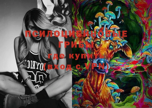 таблы Надым