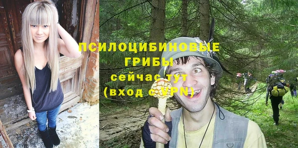 ГАЛЛЮЦИНОГЕННЫЕ ГРИБЫ Абинск