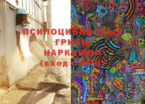 ГАЛЛЮЦИНОГЕННЫЕ ГРИБЫ Абинск