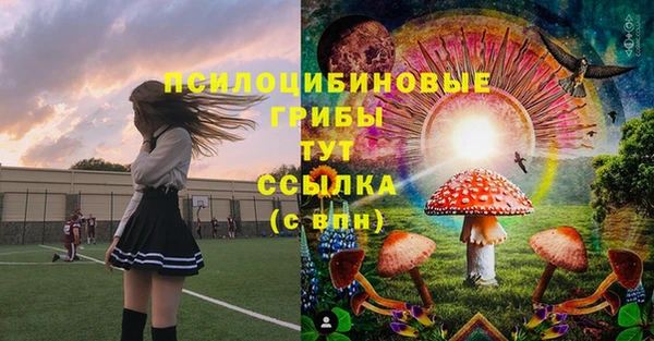 ГАЛЛЮЦИНОГЕННЫЕ ГРИБЫ Абинск