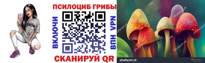 Псилоцибиновые грибы Psilocybine cubensis  где найти   darknet какой сайт  Северодвинск 
